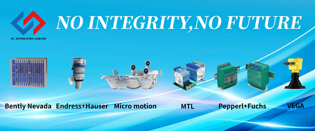 China best Endress Hauser Instruments on sales