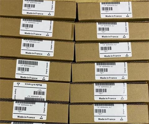 Explosion Protection PM300 SIEMENS Simatic PLC 6DR4004-6J For Analog Current Output Signal