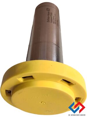 Endress+Hauser Liquipoint FTW33 Capacitance Level Sensor with Hygienic Certificates Conductive Foam Detection and CIP/SIP Suitable