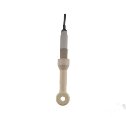 Endress Hauser Indumax CLS50 Analog Conductivity Sensor with PEEK Seal